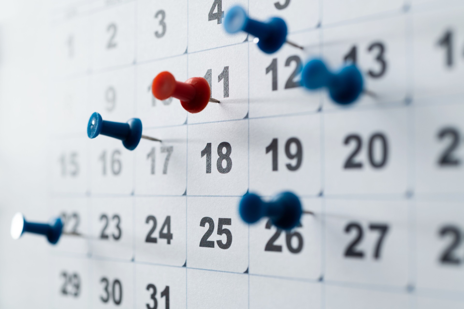 Nonprofit compliance calendar with marked deadlines for IRS filings and state registrations